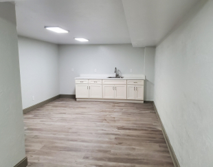 basement-kitchenette